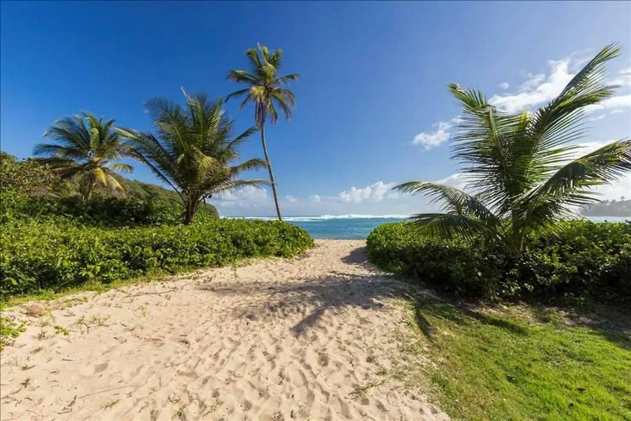 Villa Iris 2 Story Ocean View Villa W/ Pool Access Vega Alta